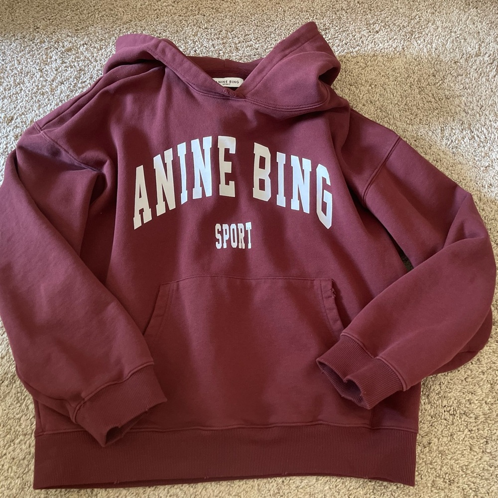 Anine Bing Rust Red Logo Hoodie - Picture 5 of 8